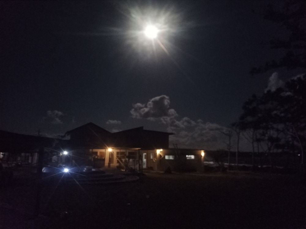 Bluepango Guest House - Hostel