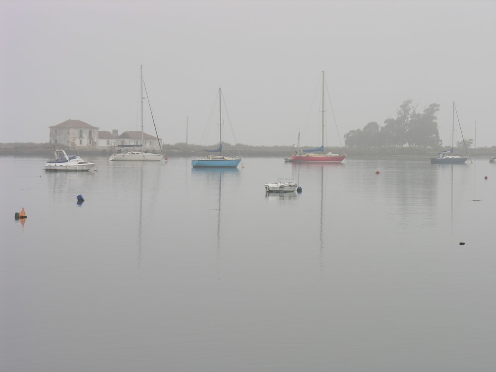 The Boat