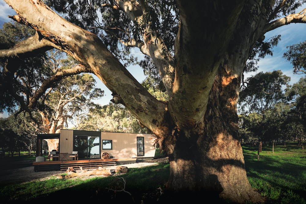 CABN McLaren Vale
