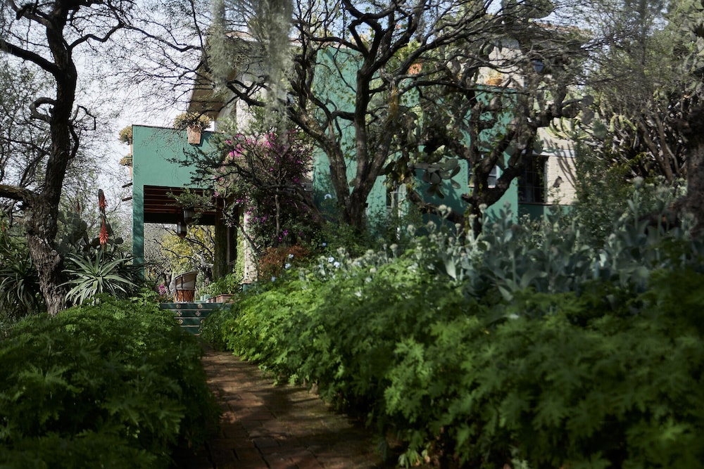 Sagrada Holistic Ranch view 3