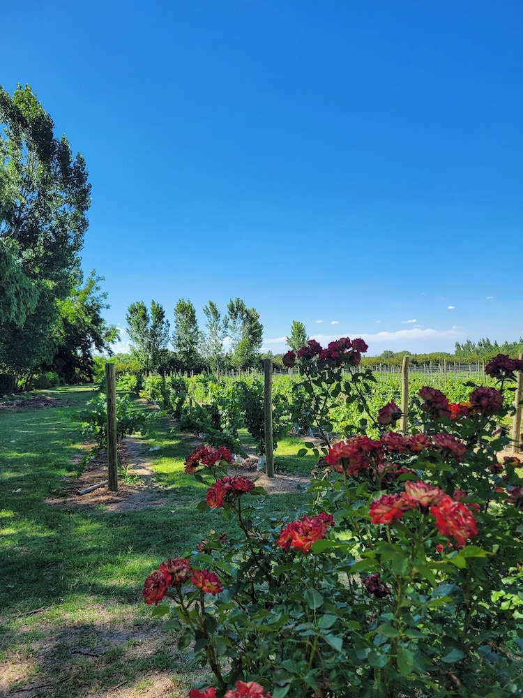 Finca La Saucina