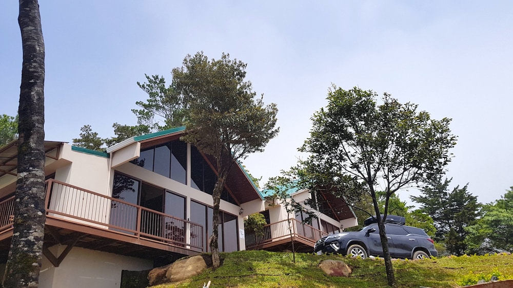 Hotel Green Forest Vacations Homes - Image 1