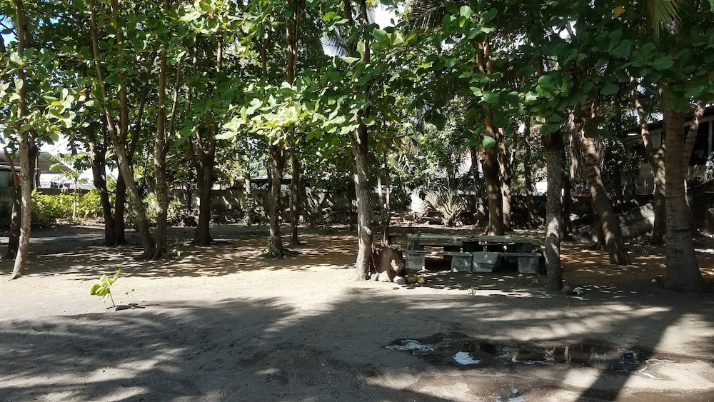 Hotel Sol y Playa - Property Image 10