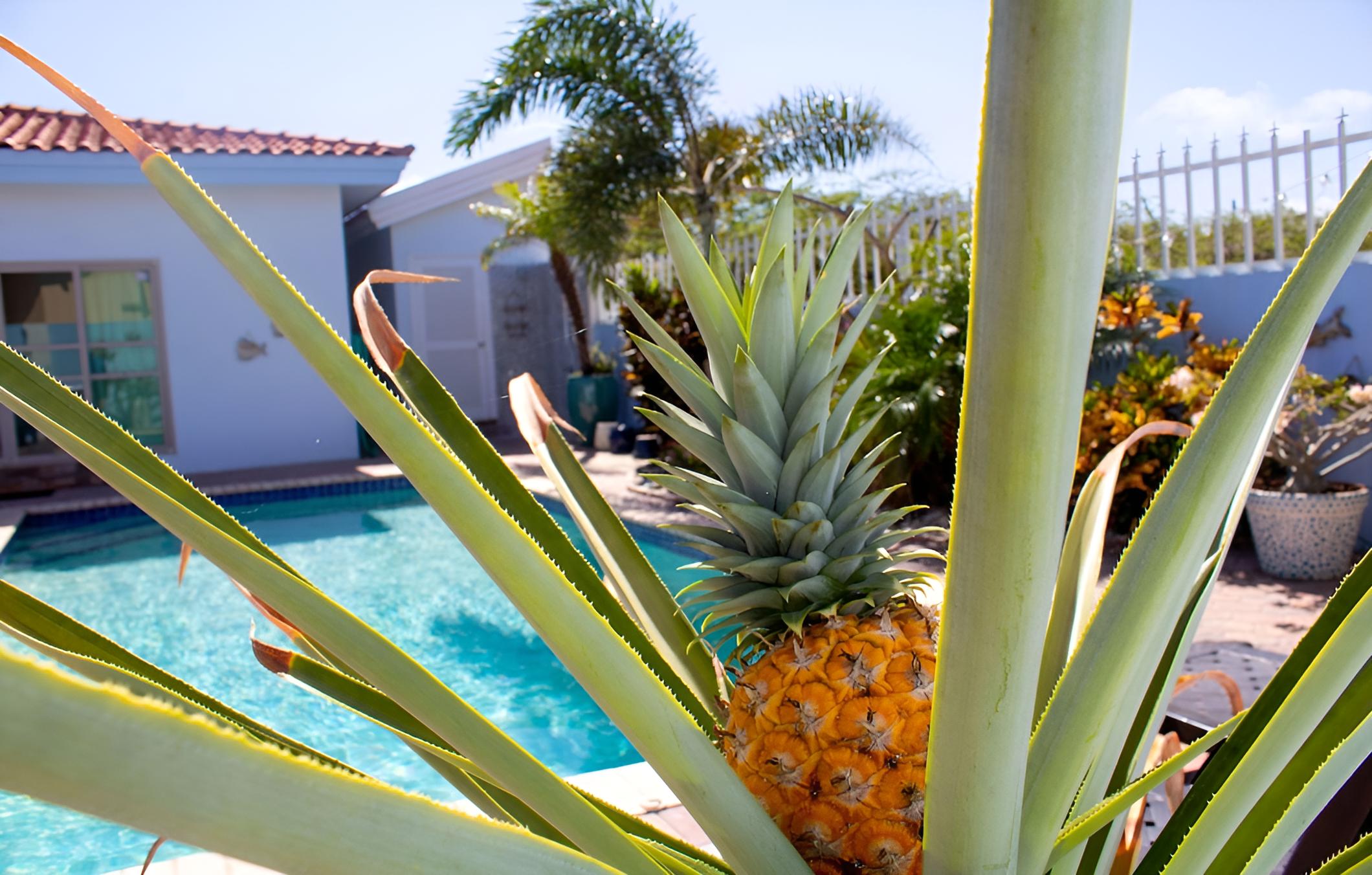 Island Sun Villa