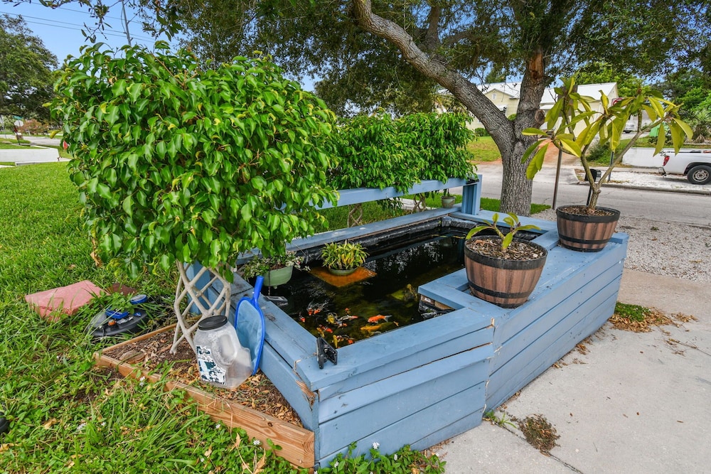 The Tampa Oasis