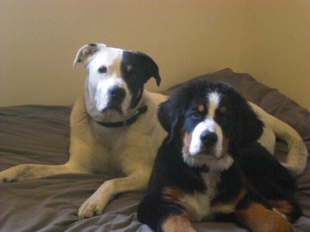 Clark Fork Lodge - Property Image 24