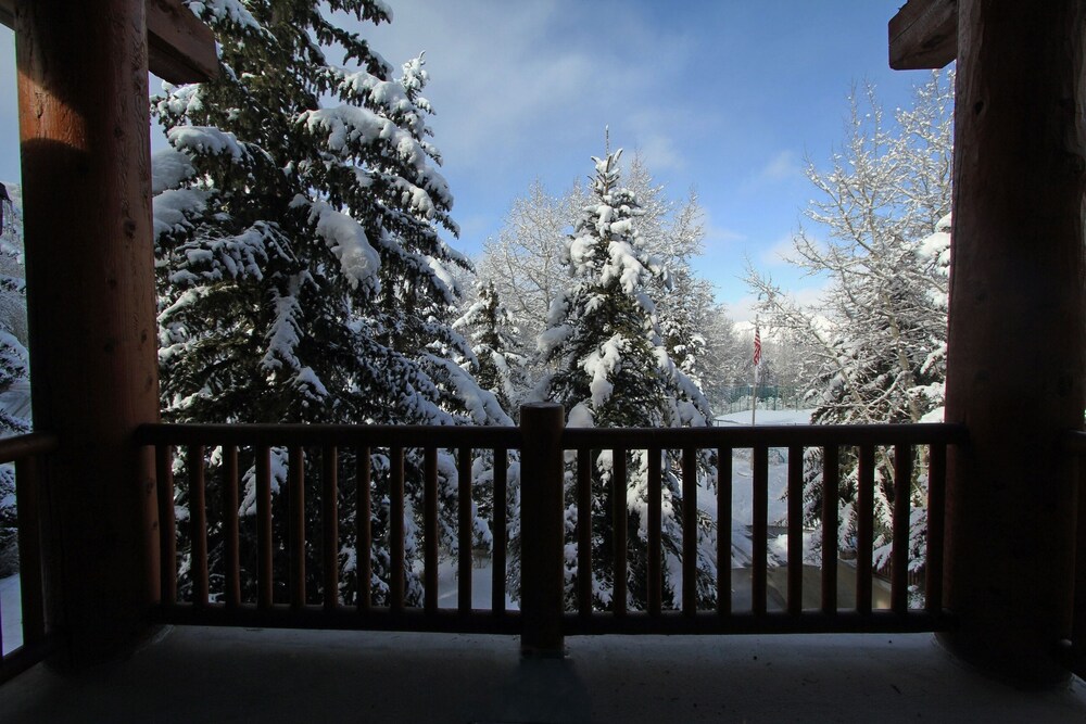 Photo 22