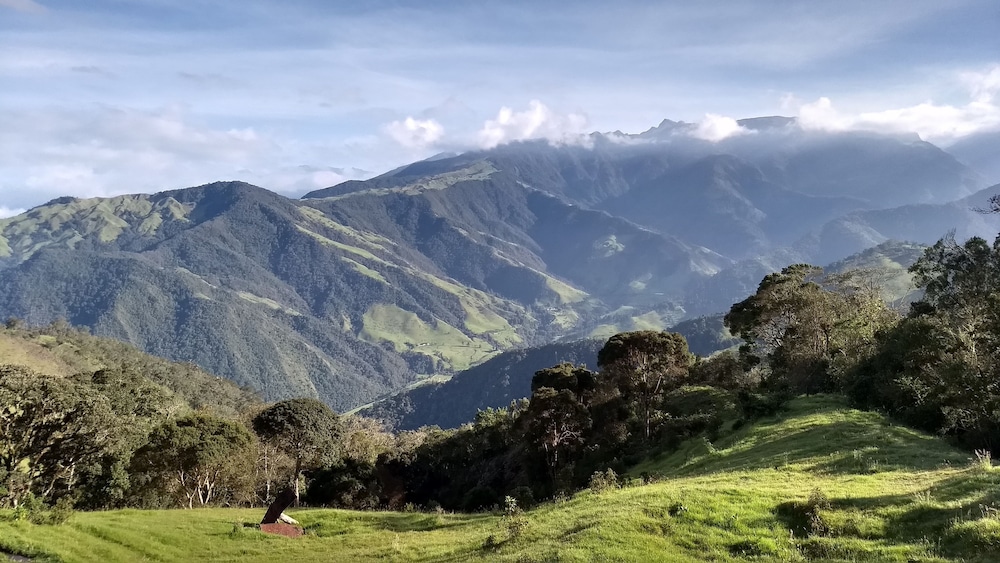 Finca Los Arboles