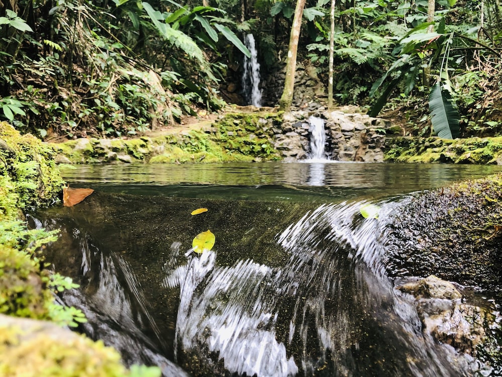 Hotel Bosques do Massaguaçu