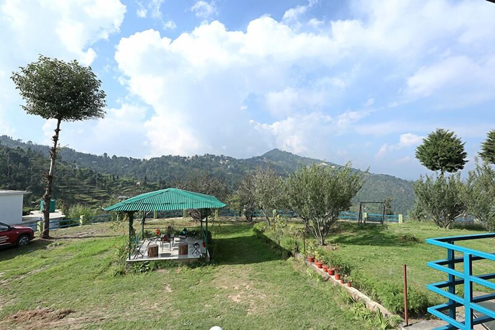 The Chirping Orchard