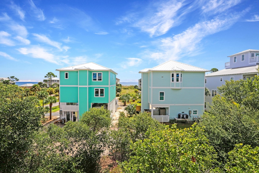 Cape Palms