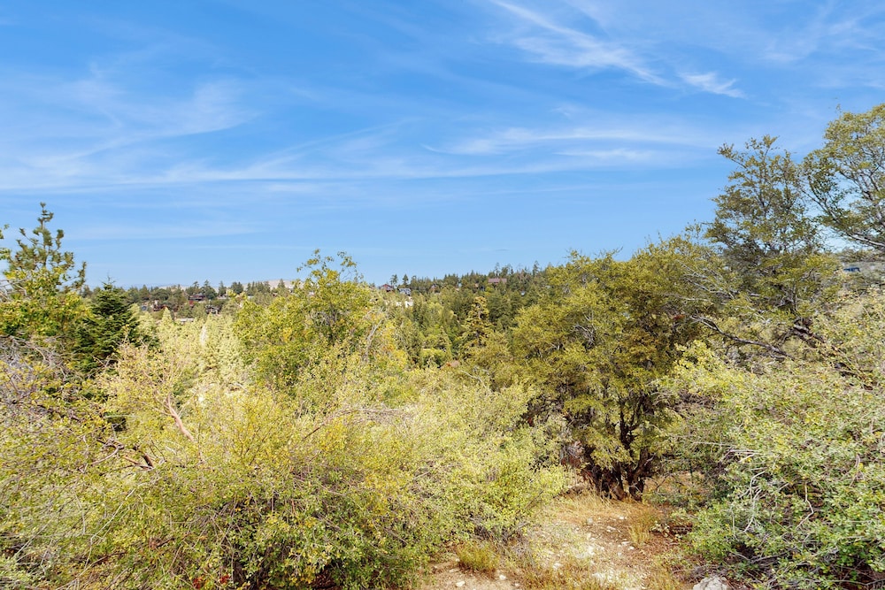 Mountain & Lake View Dog-friendly Retreat