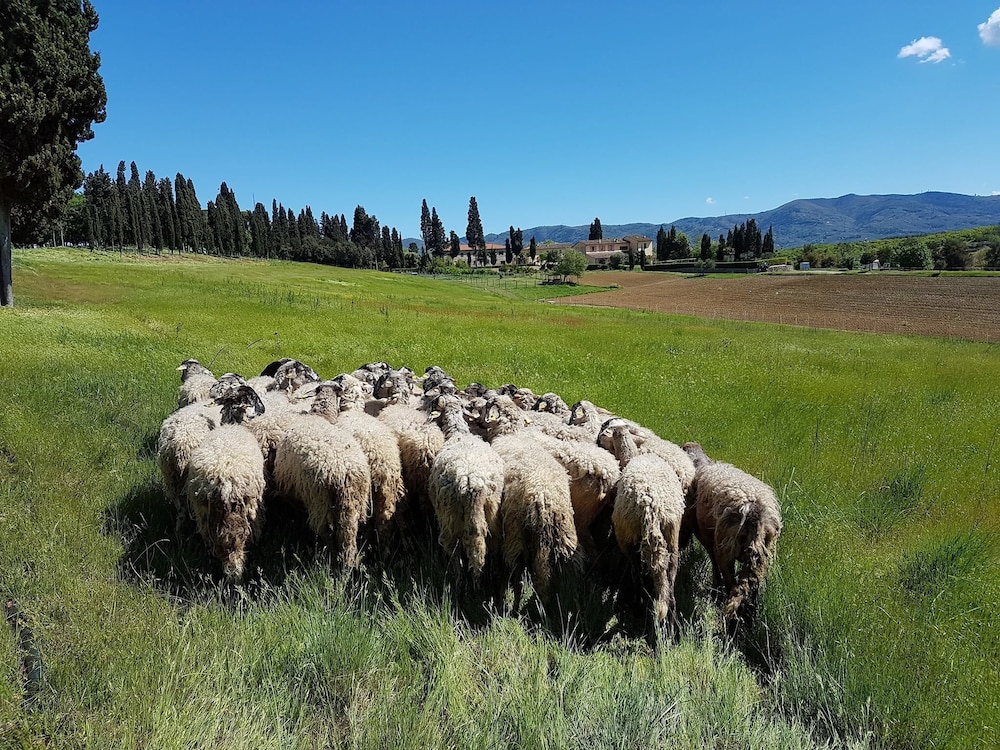 Agriturismo FATTORIA ROZZALUPI