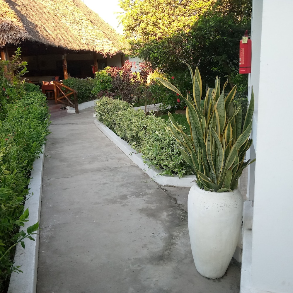 Photo 40
