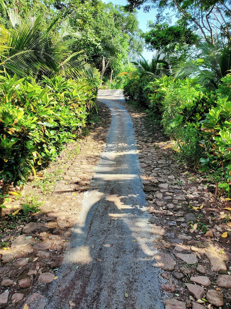 The Jungle
