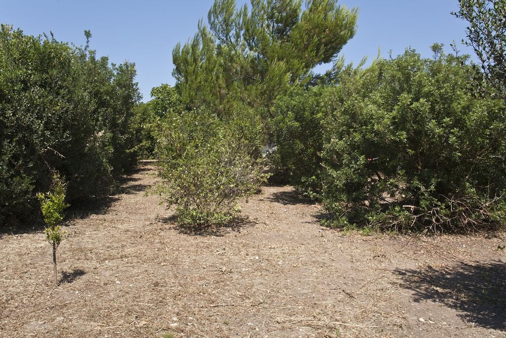 Photo 28
