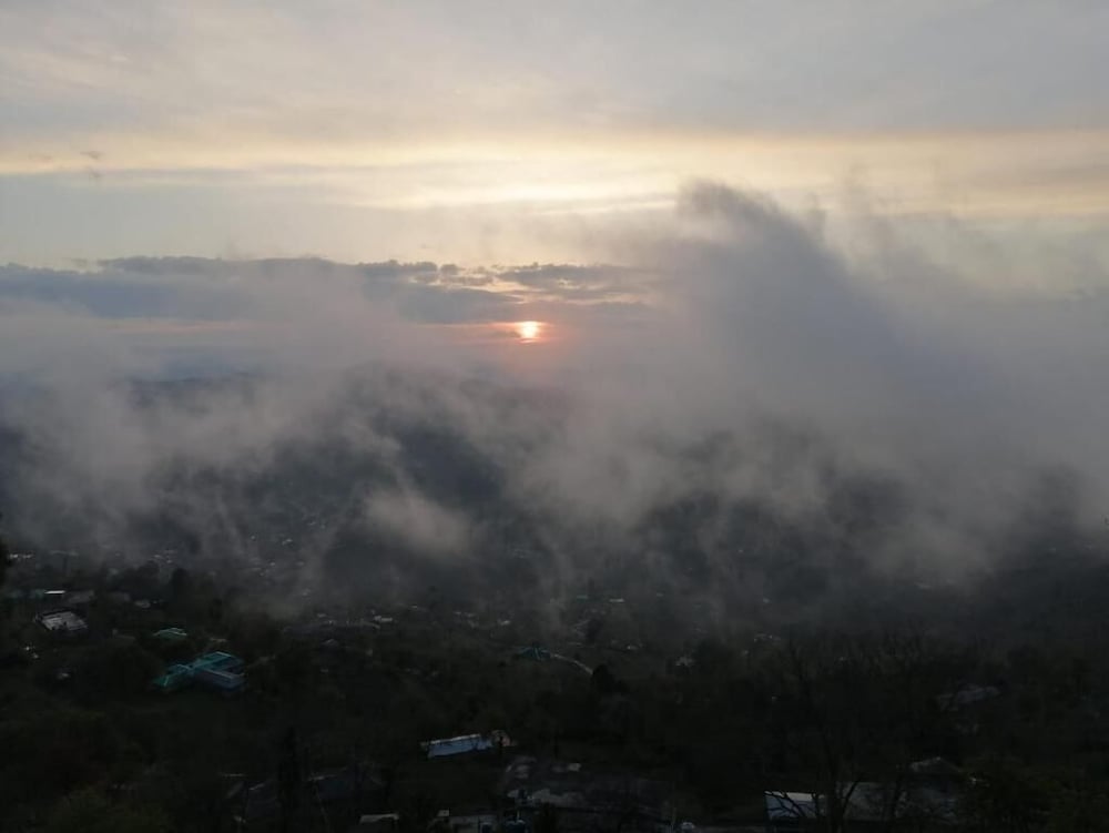 Photo 24