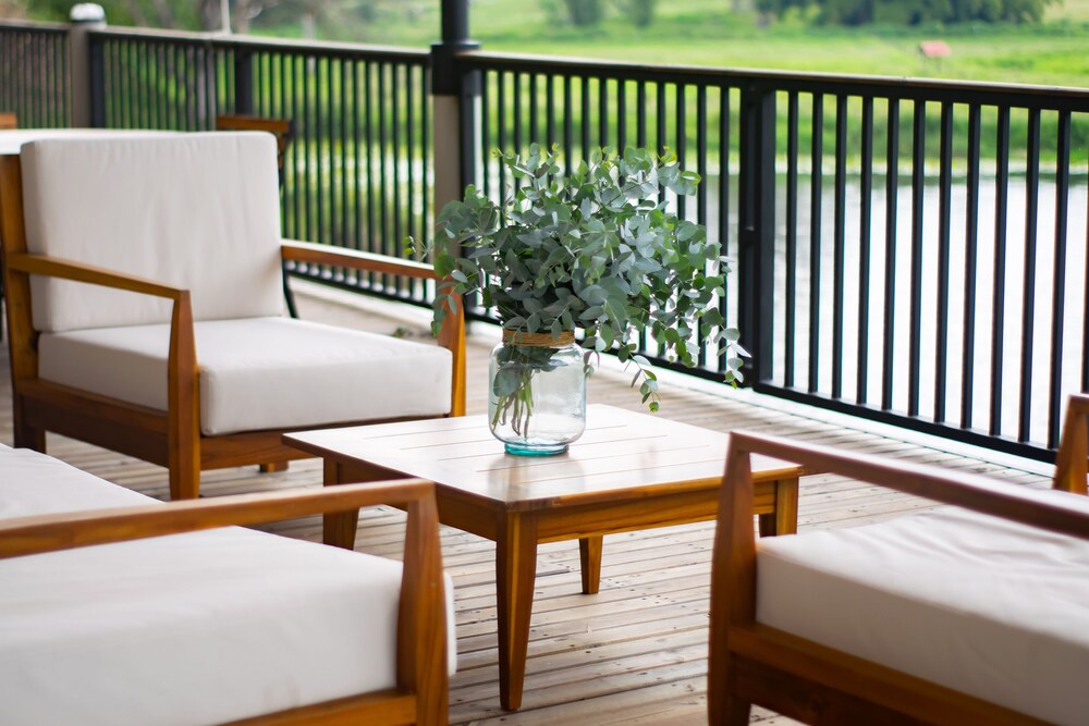 Monarch Campestre