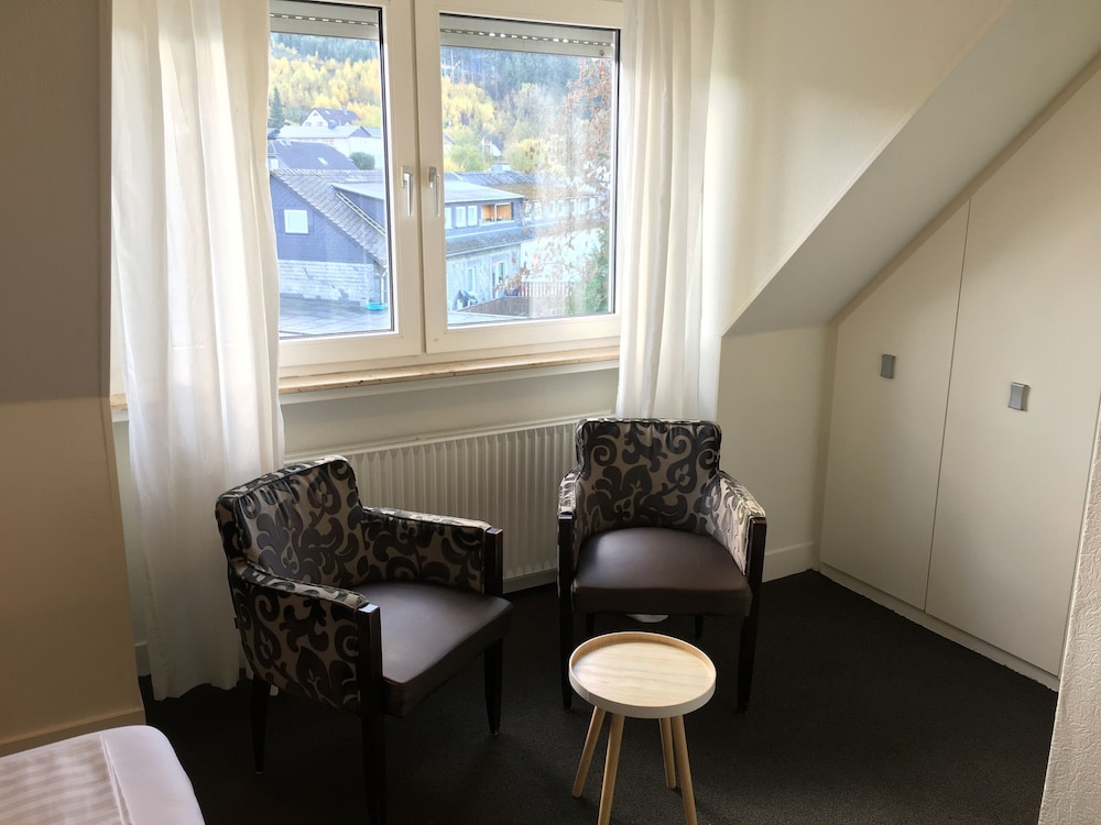 Parkhotel Andreasberg - Property Image 33