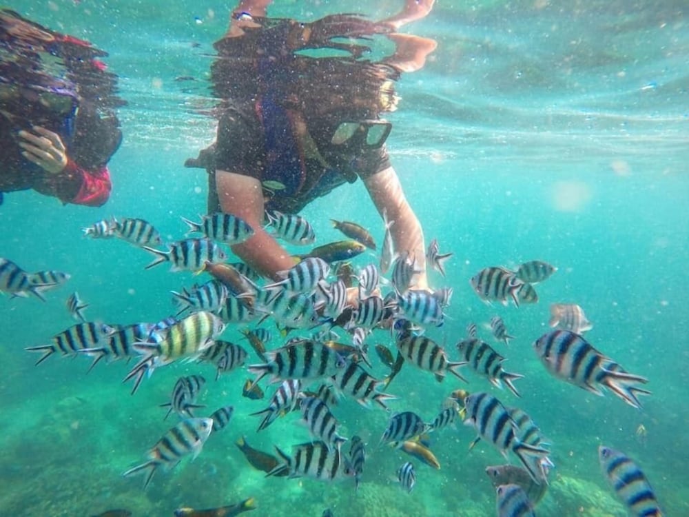 Kapas Island Resort