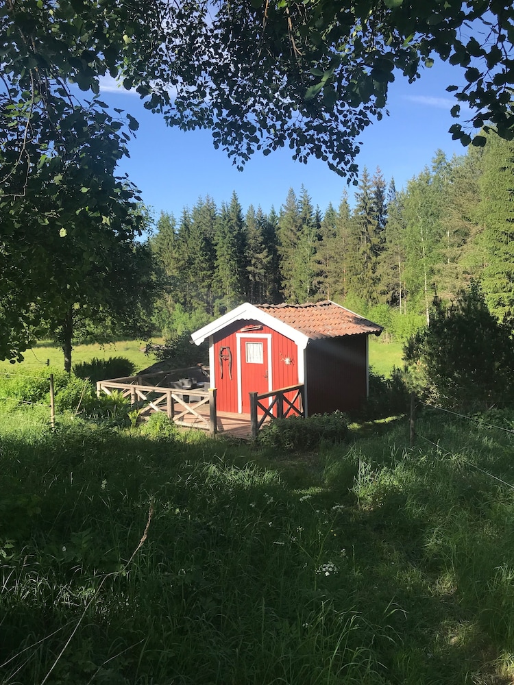 Björnåsen Bear Hill
