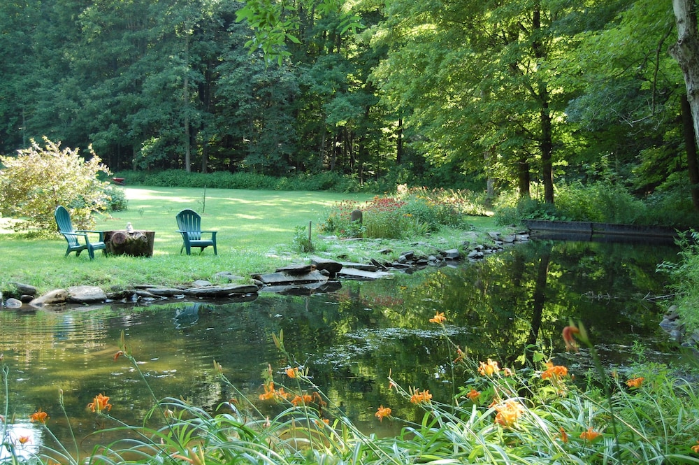 Wellnesste Lodge and Cabin Rentals