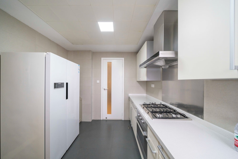 Tyms 3BR Duplex APT Xujiahui Shanghai