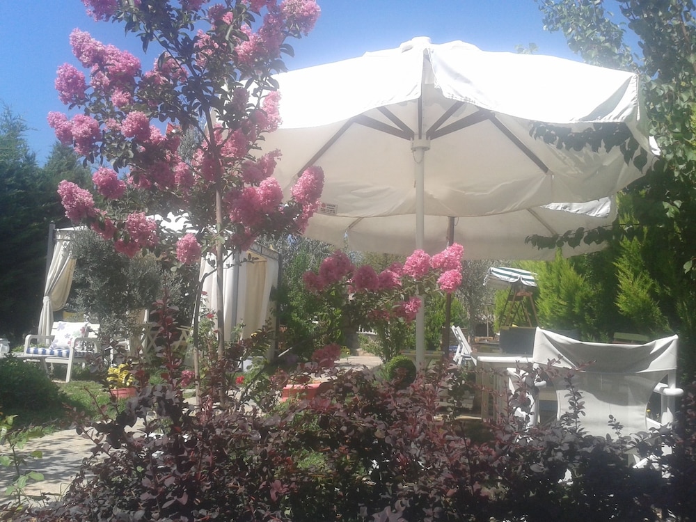 Ege Han Otel view 3