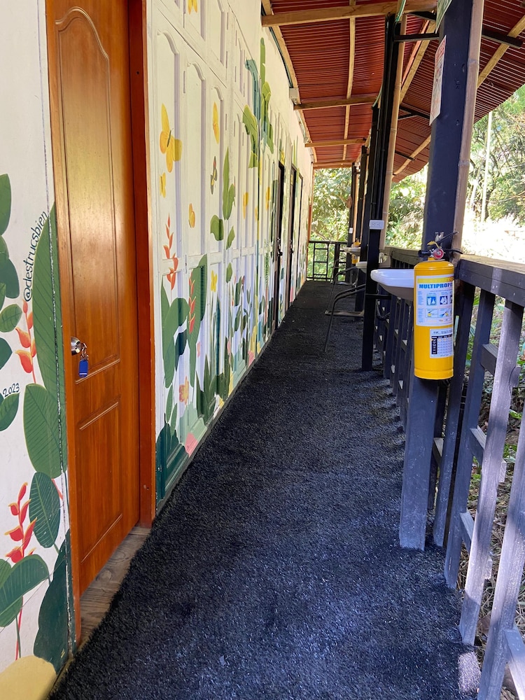 hostal las mariposas minca