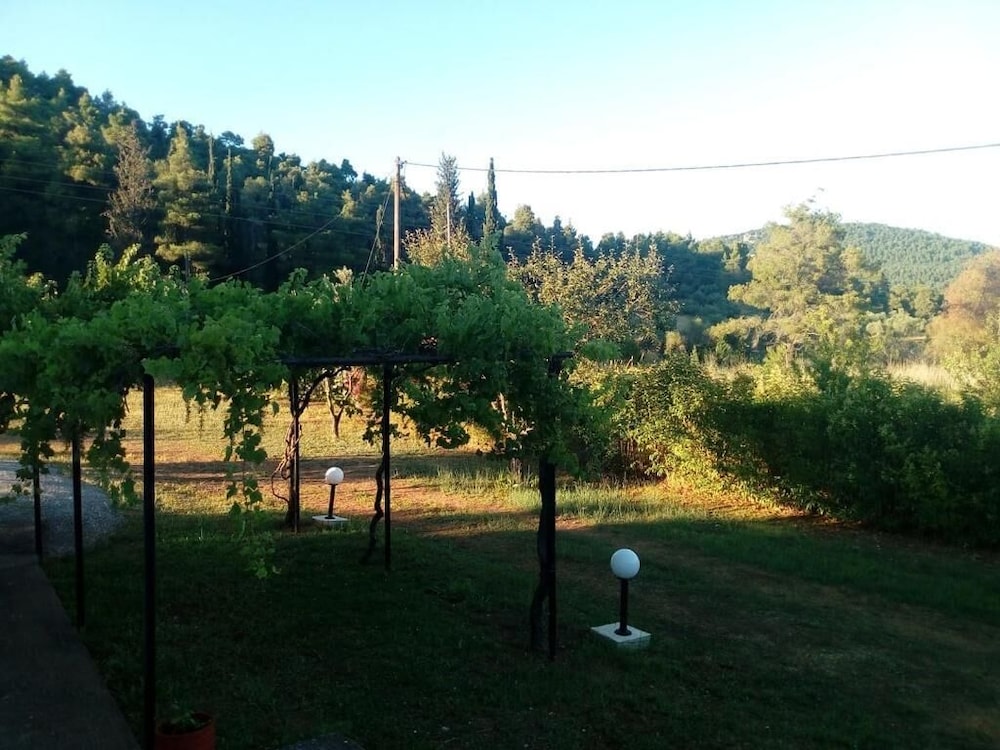 Photo 42