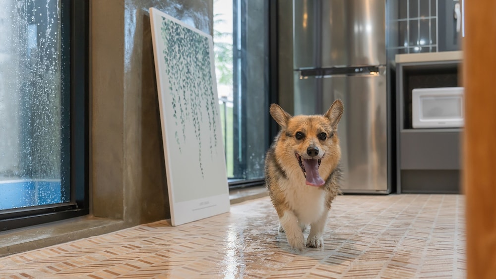 Taean Aloha Oe Pet Pool Villa
