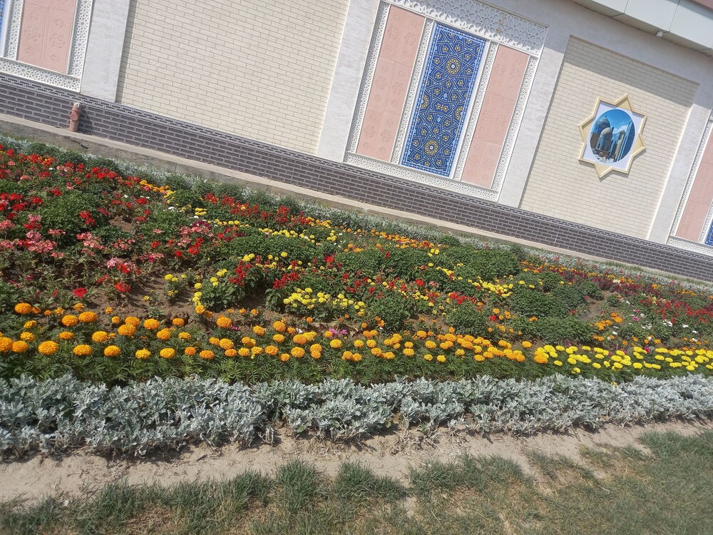 Photo 29