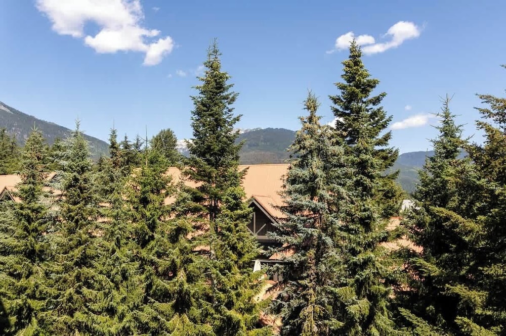 Entire Studio in Whistler Village Resort - Unit 437