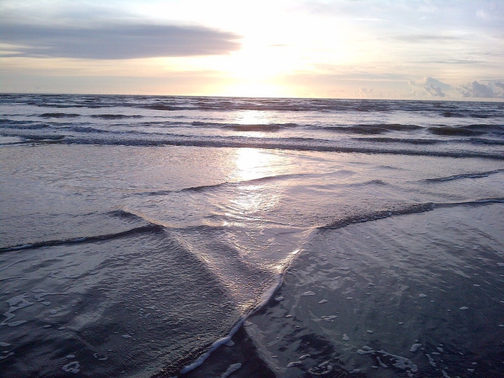 Photo 46