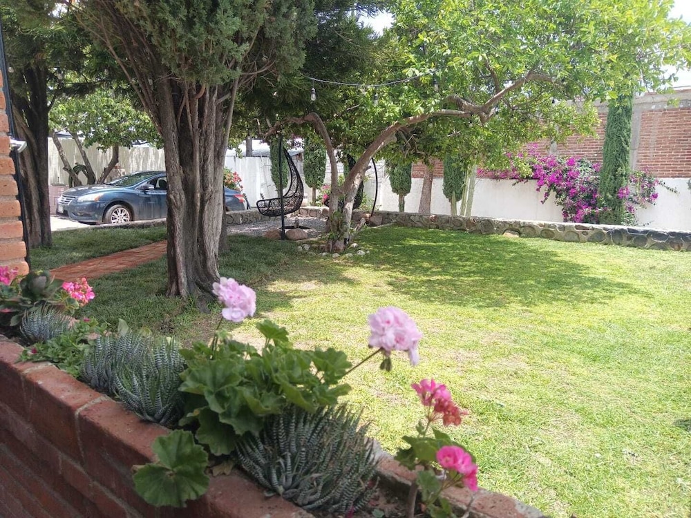 Photo 25