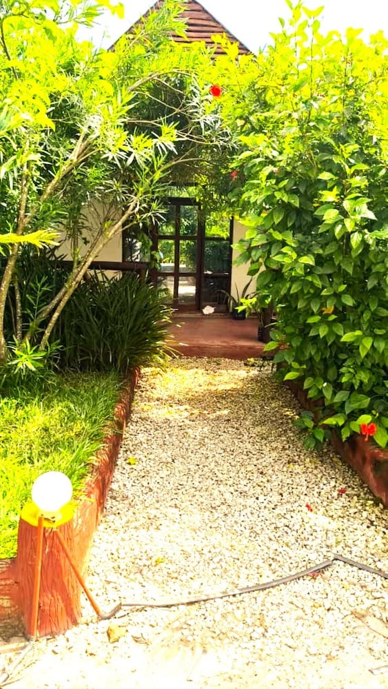 zanzllywood hotel and apartments