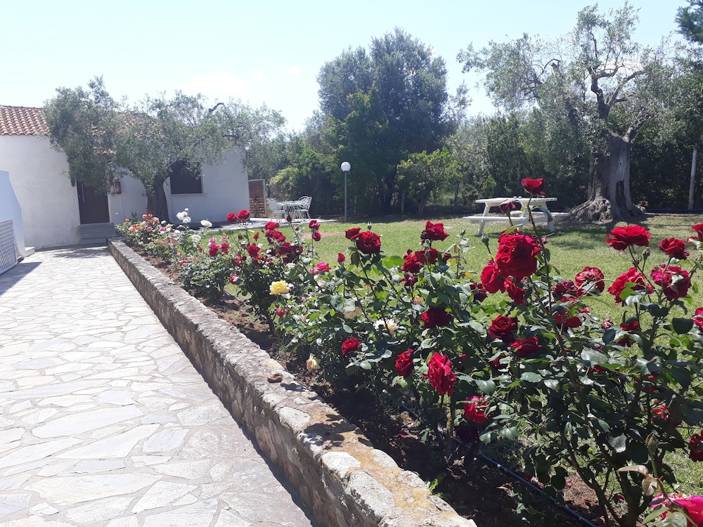 Marios house