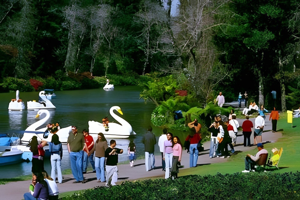 Siga Gramado - Vista linda -Tudo a pé