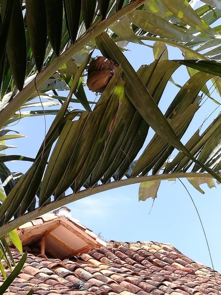 Casa Juana