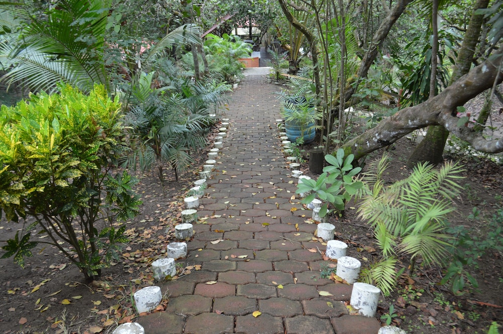 Photo 13