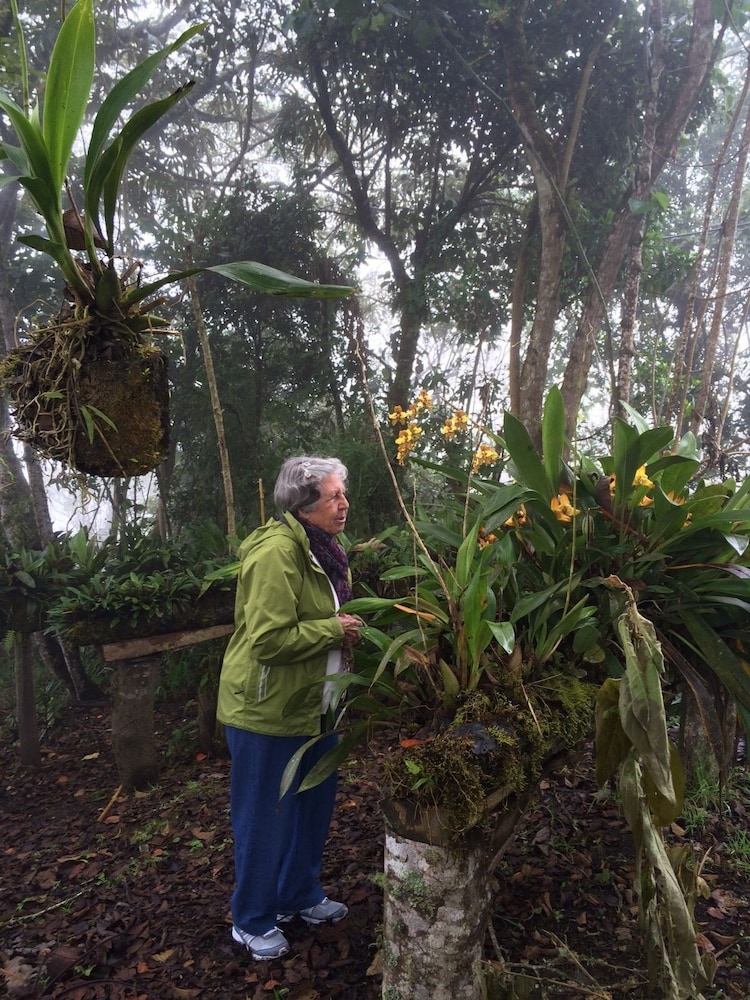 Rutun Orquídeas