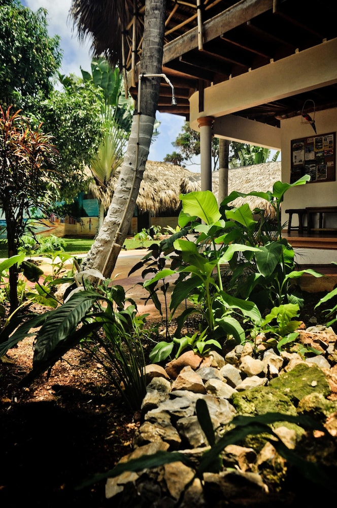 El Jardin del Coco