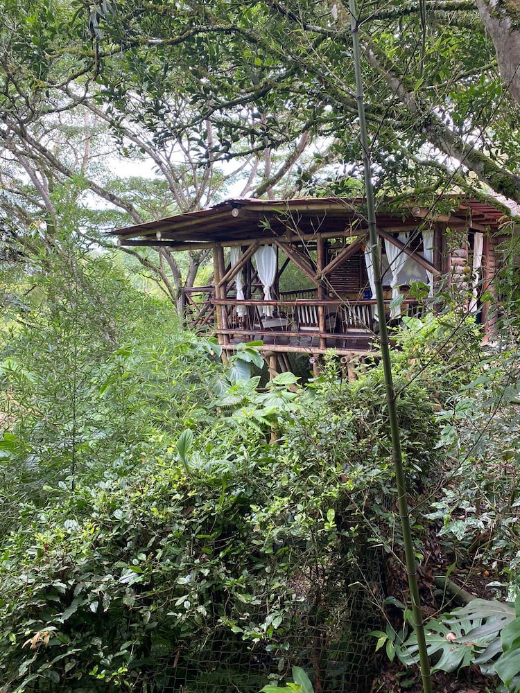 Eco Cabañas Green Eden