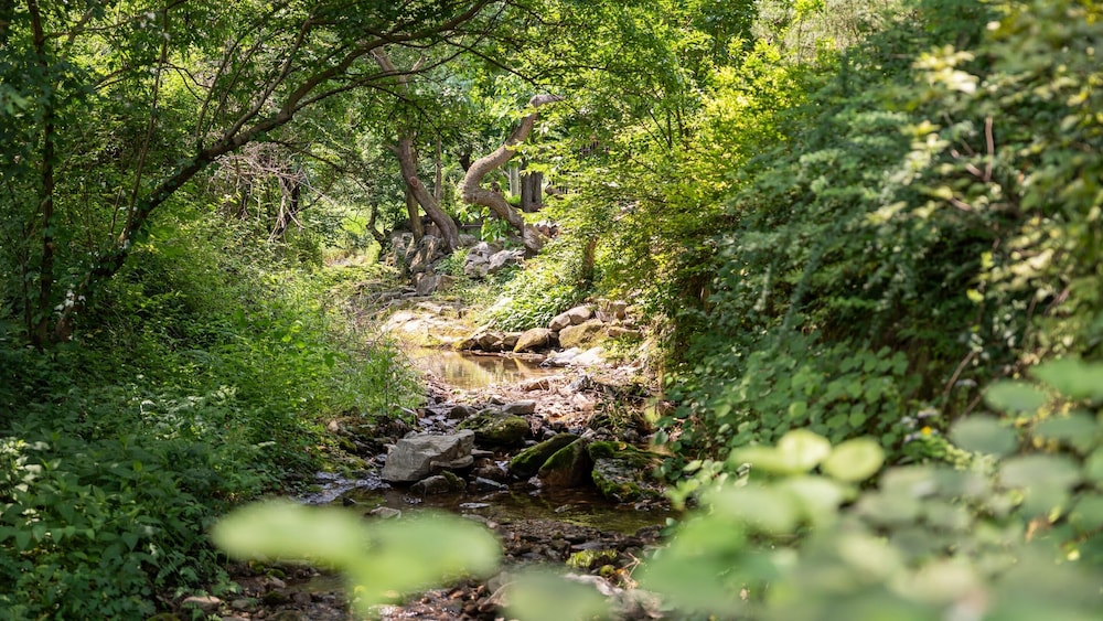 Chuncheon Haven Forest Pension