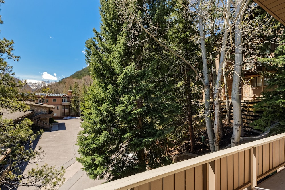 Aspen Alps