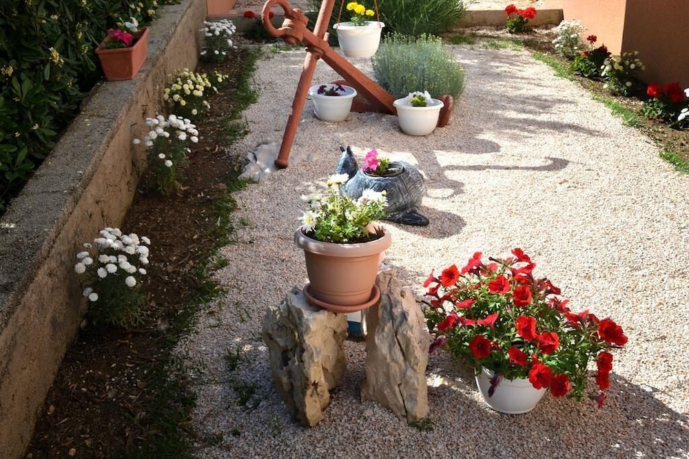 Photo 31