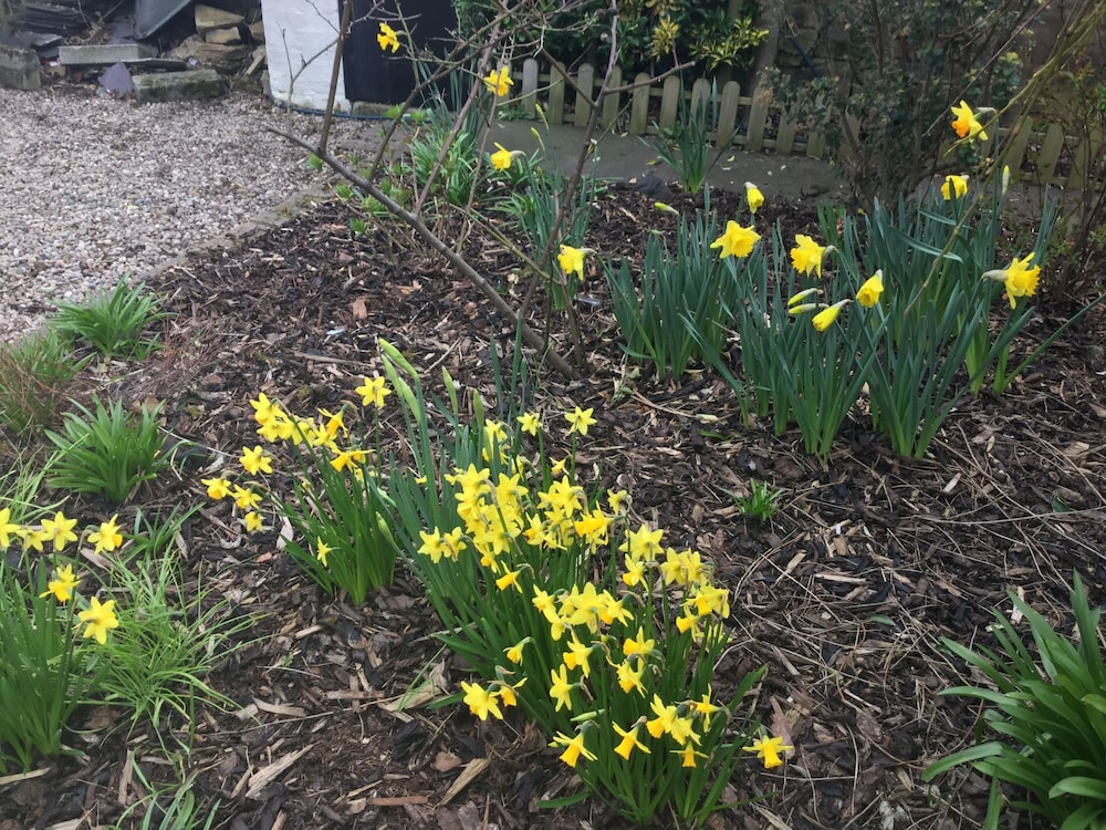Craggallan Guest House