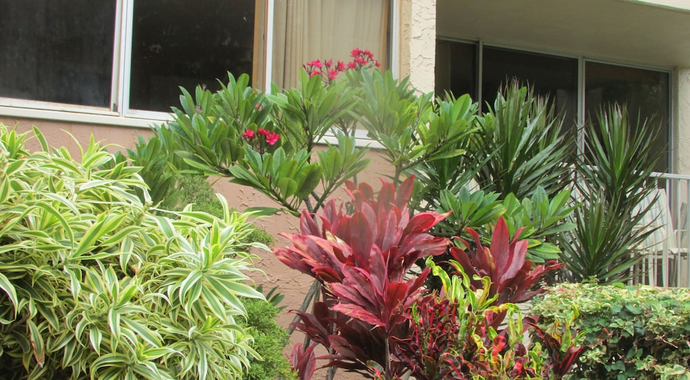 Royal Kahana Resort by rkmaui