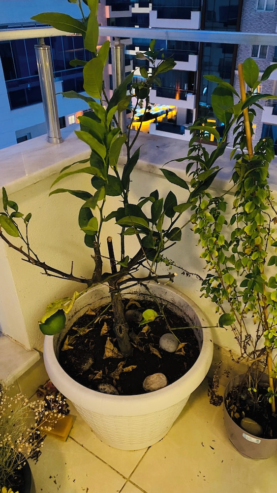 Photo 34