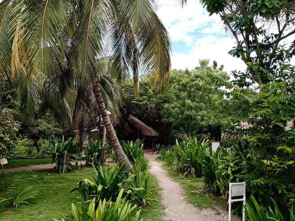 Las Palmeras view 4